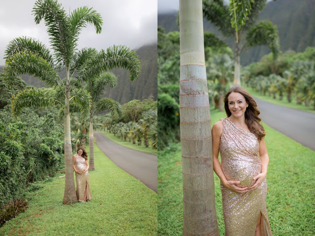 Island Mountain Glam Maternity Shoot